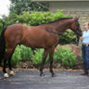 Meet your Posher, Monique